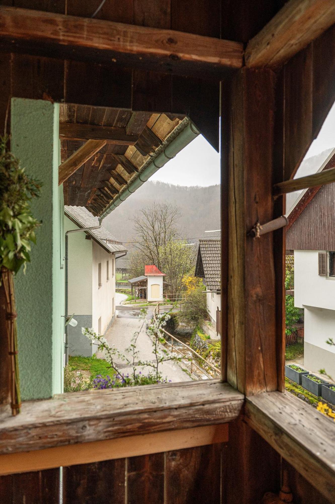 Zelena Hisa Pri Bjov Apartment Bohinjska Bela Ngoại thất bức ảnh