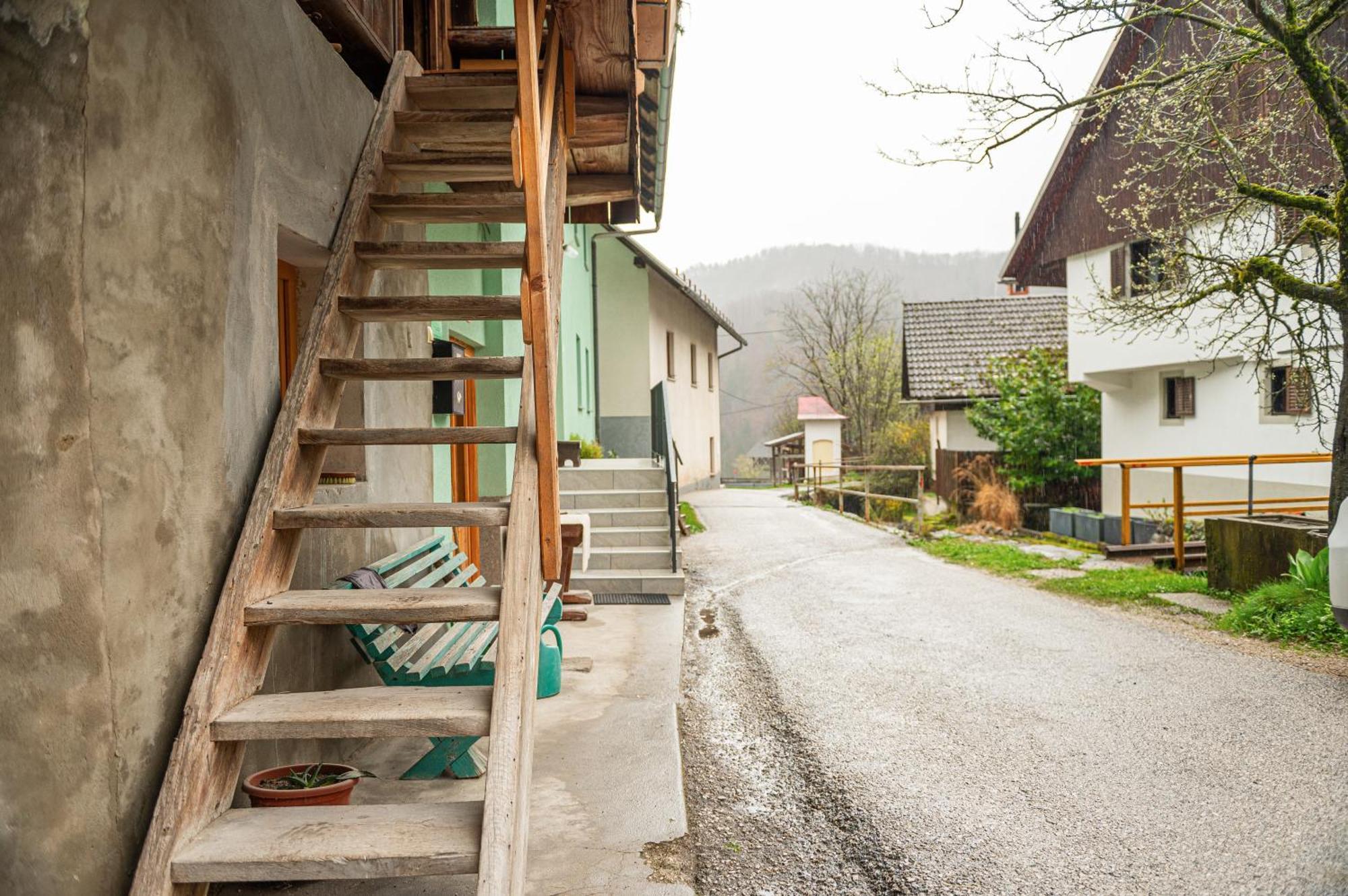 Zelena Hisa Pri Bjov Apartment Bohinjska Bela Ngoại thất bức ảnh